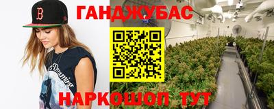 дмт Ливны