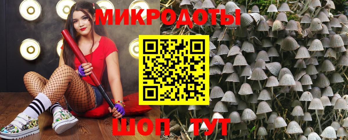 Галлюциногенные грибы мухоморы Чита