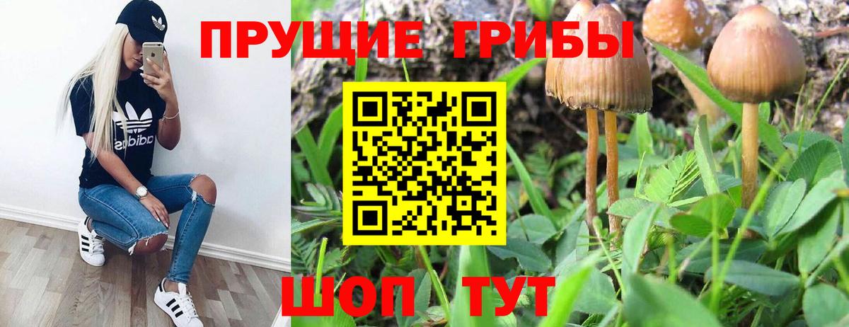 Псилоцибиновые грибы прущие грибы  Вход с VPN  Чита 